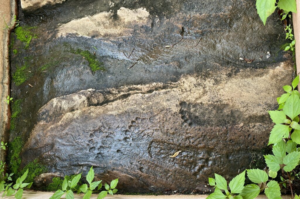 Nginga queen footprints